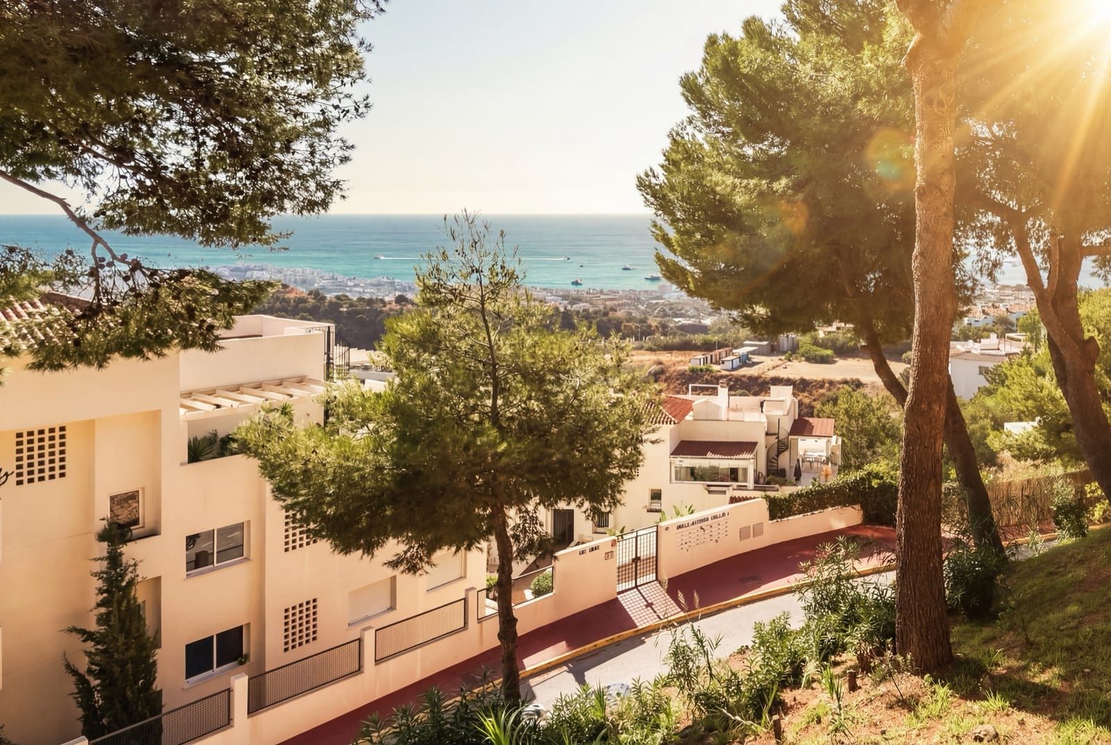 Terrace morning light